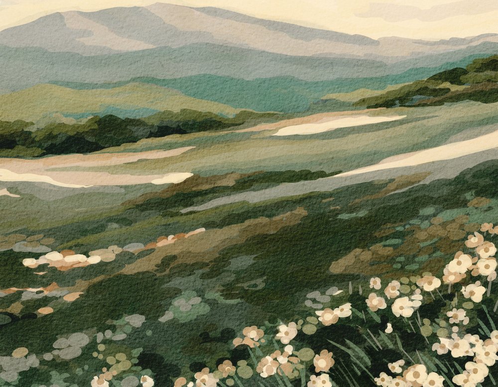 Wildflower Mountainin maisema tekijältä Nikita Jariwala