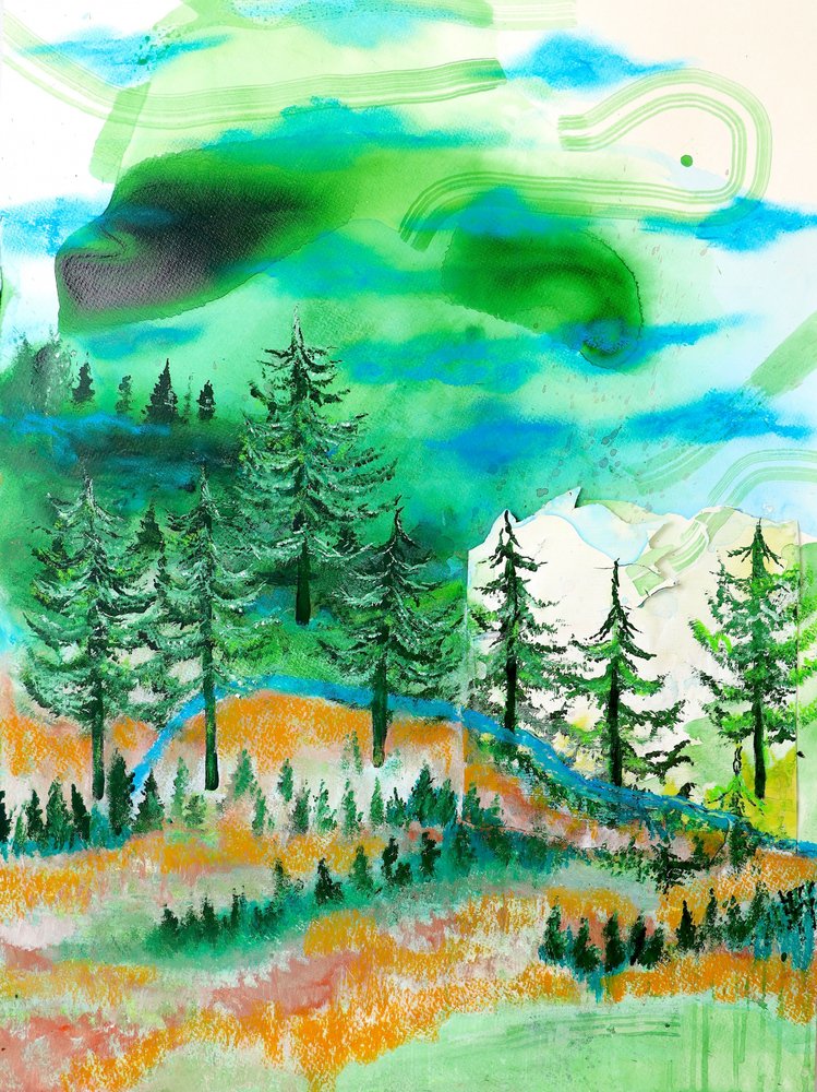 Tiivistelmä: Vuoristometsä tekijältä Poonam Choudhary
