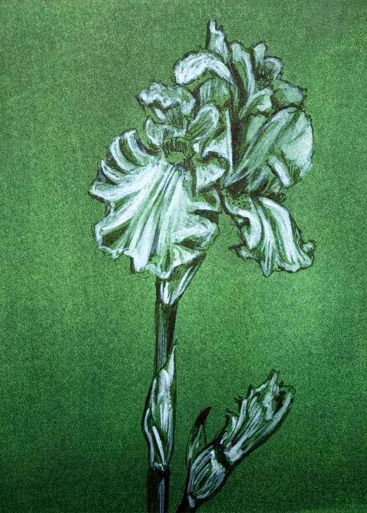 Tyylikäs vihreä iiris tekijältä Renee Machan Cottagecore Artist