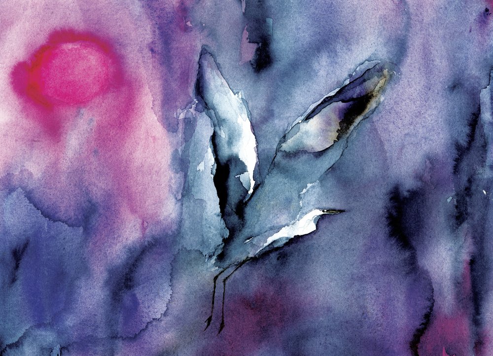 Eteerinen violetti lintulento tekijältä RodMacIver