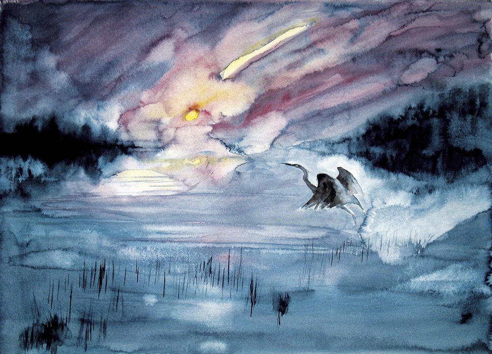 Haikara lentää komeetan taivaalla tekijältä RodMacIver