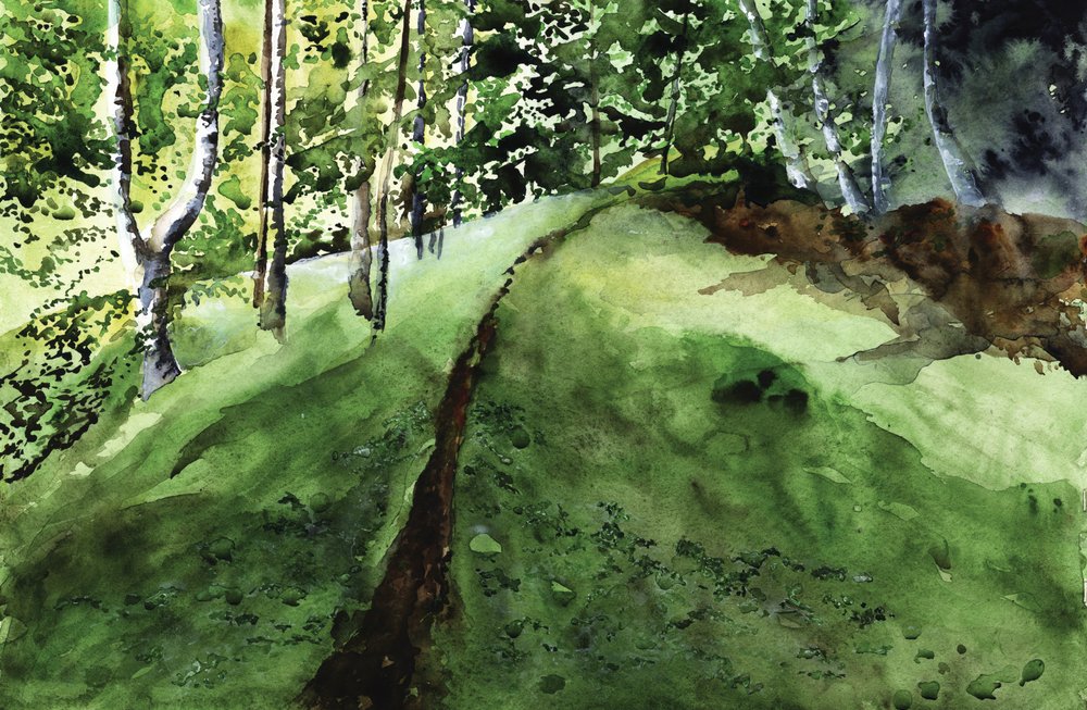 Rehevä metsäpolku tekijältä RodMacIver