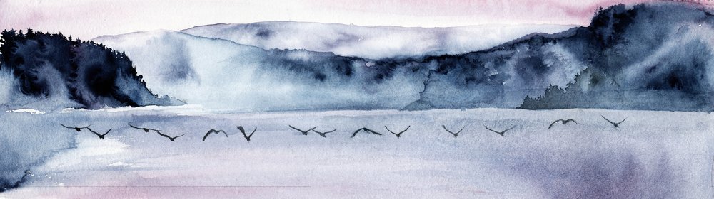  tekijältä RodMacIver
