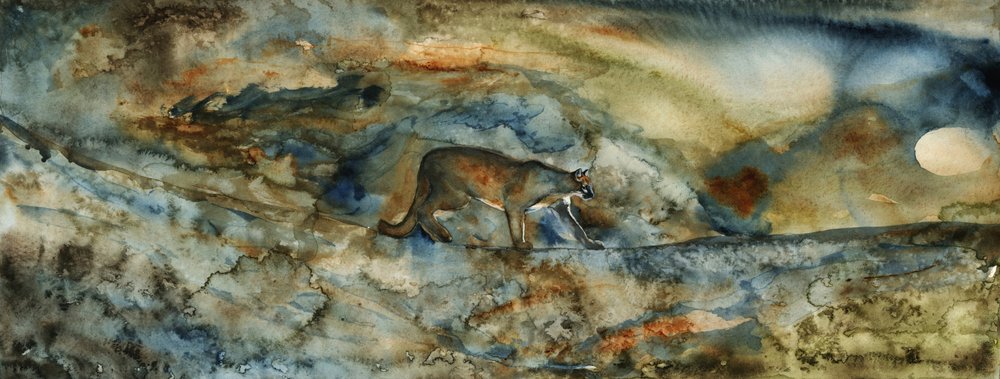 Mountain Lionin solan tekijältä RodMacIver