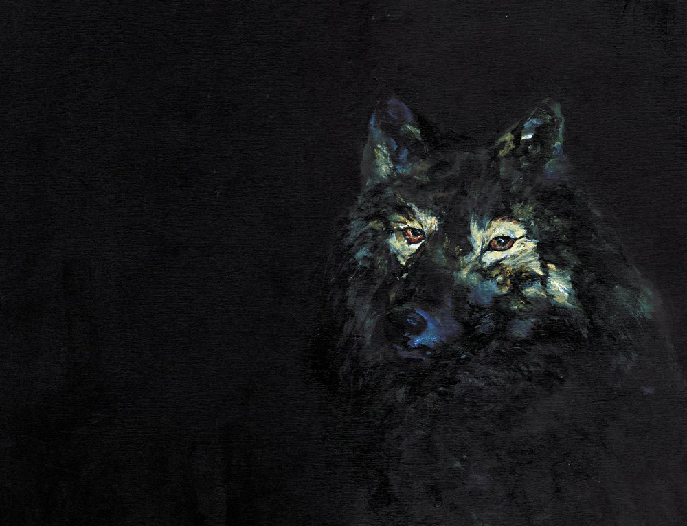 Salaperäinen musta susi tekijältä RodMacIver