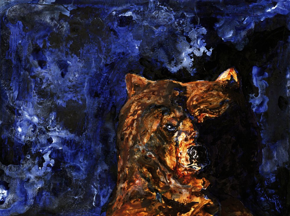 Grizzlyn voimakas katse tekijältä RodMacIver
