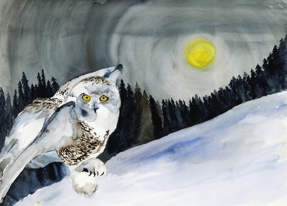Lumikettu ja talvikuu tekijältä RodMacIver