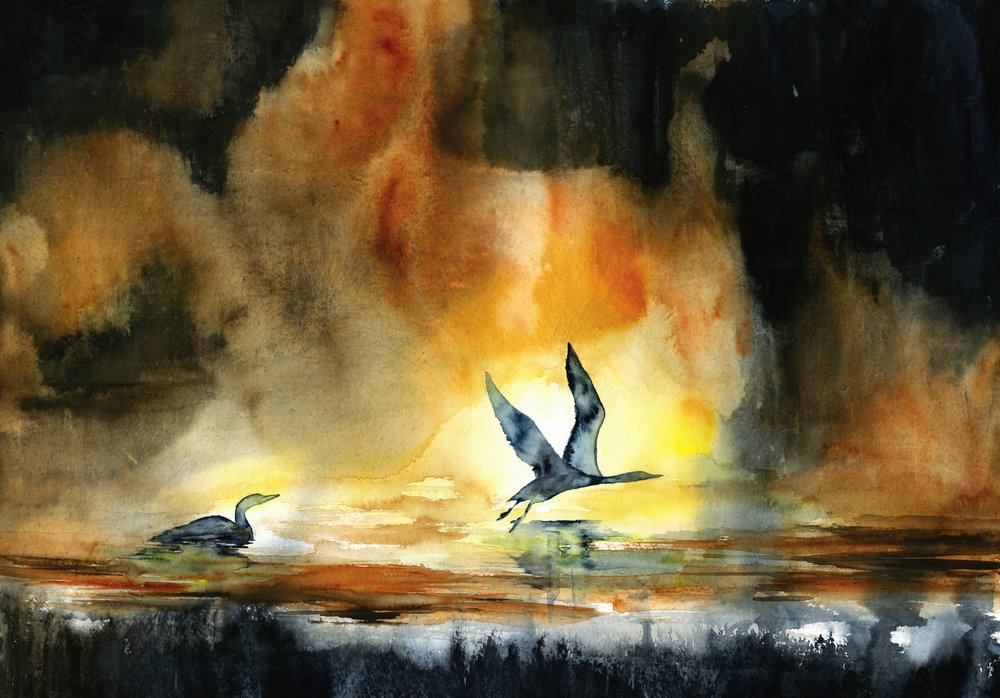Auringonlaskun vesilinnut tekijältä RodMacIver