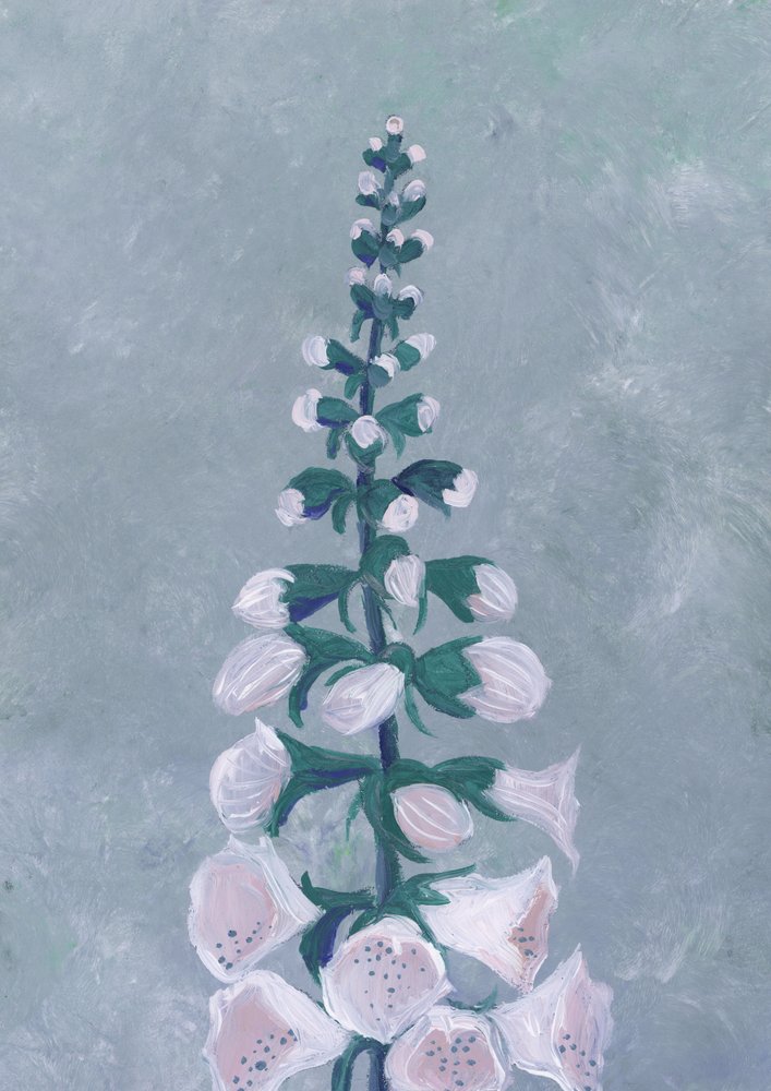 Valkoisen sormustinkukan kukka tekijältä Rosana Laiz Blursbyai
