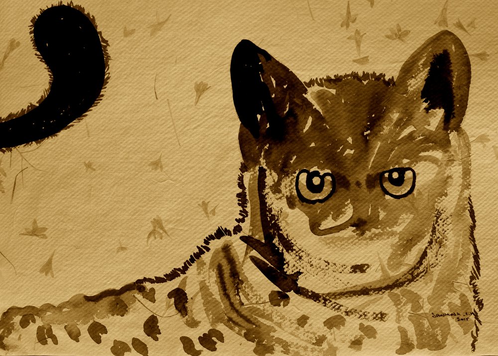 Wild Cat Gaze tekijältä Santhosh ch