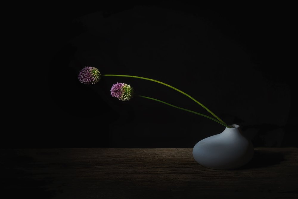 Tummat Allium-kukat tekijältä Saskia Dingemans