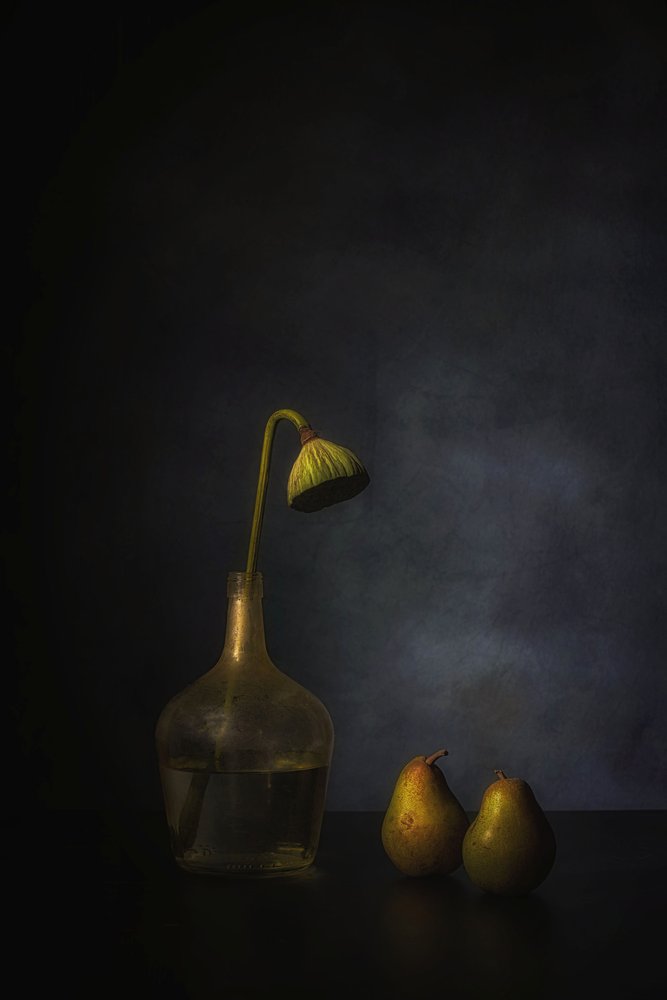 Moody Lotus ja Pears tekijältä Saskia Dingemans
