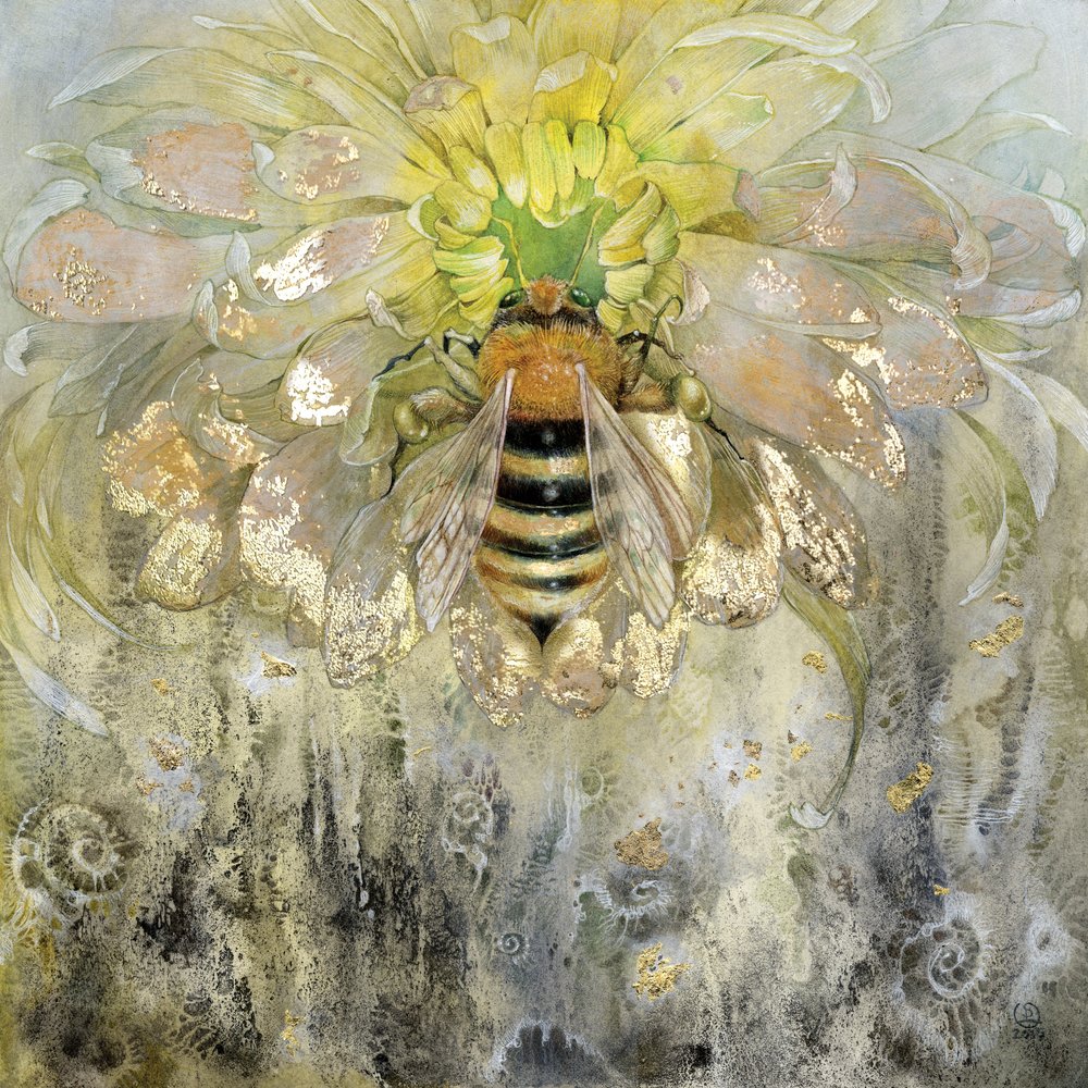  tekijältä Stephanie Law