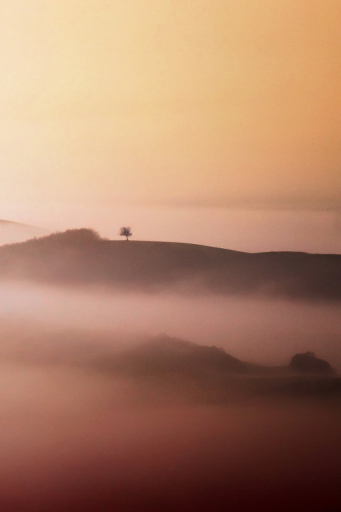 Lone Tree Golden Mist tekijältä Vanja Tajnsek