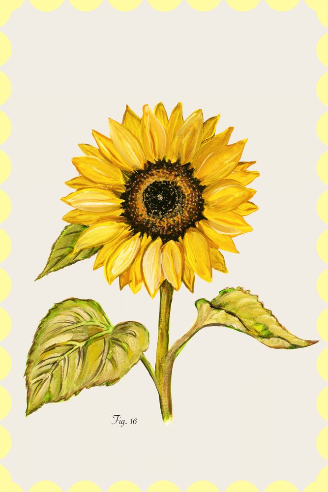 Golden Sunflower Botanical tekijältä cartissi