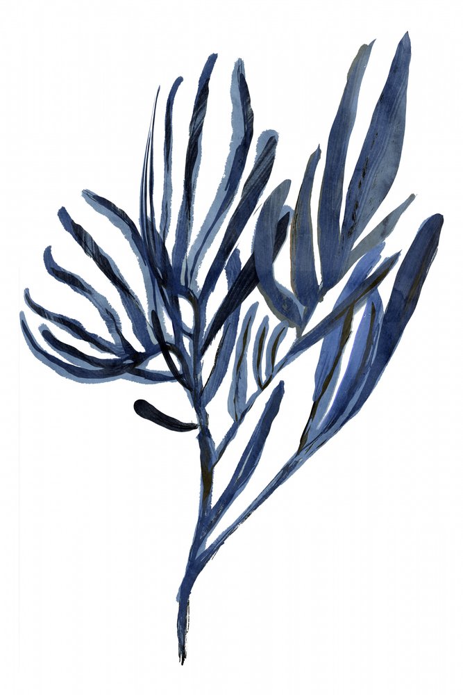 Indigo Botanicalin oksat tekijältä cartissi