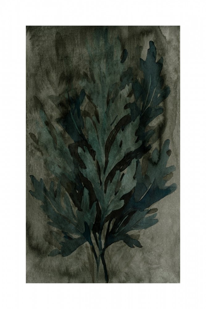 Moody Botanical -lehdet tekijältä cartissi