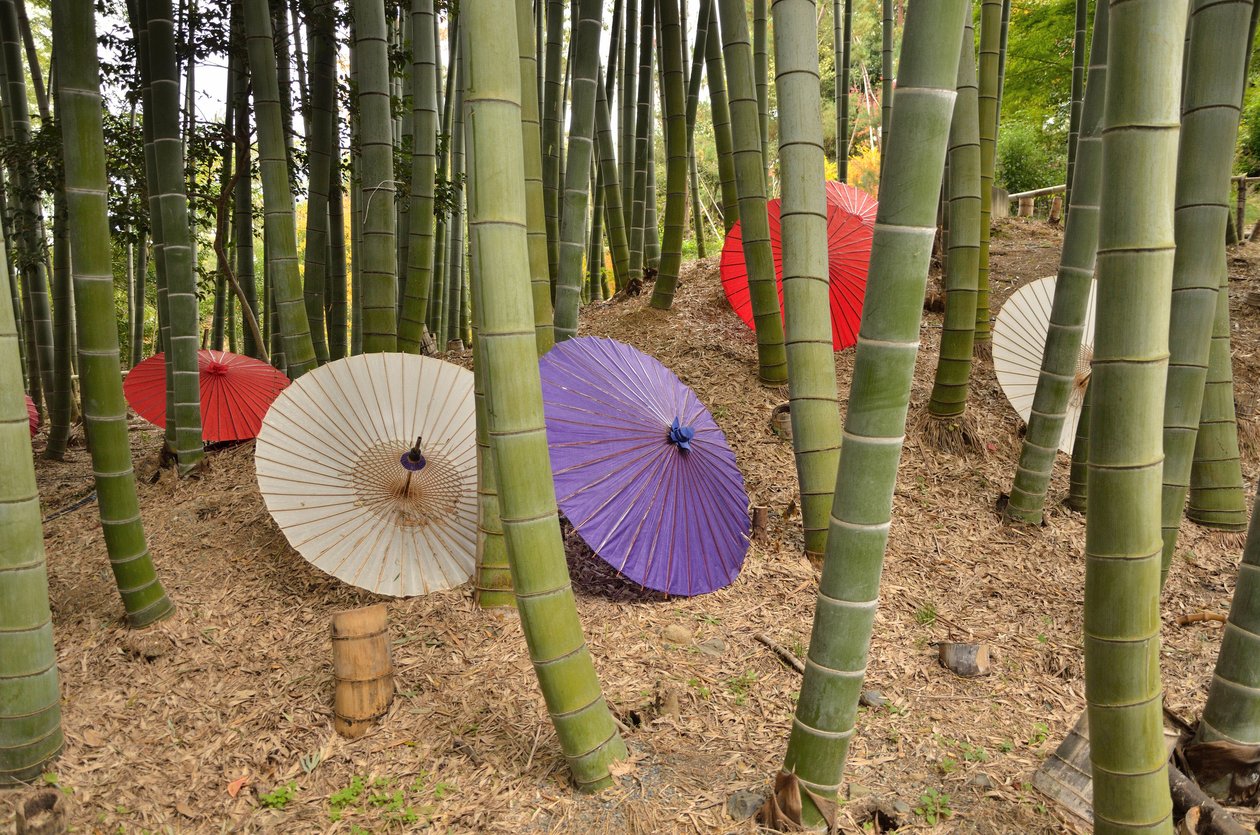 Kodai-ji tai Kodaijusho-Zenji --Kioto (Japani) --Edon aikakausi --buddhalainen temppeli --kävelypuutarha lampineen ja karesansui (kuiva maisemapuutarha) --perustaja Kita no Mandokoro (Toyotomi Hideyn vaimo) vuonna 1605 tekijältä Unknown