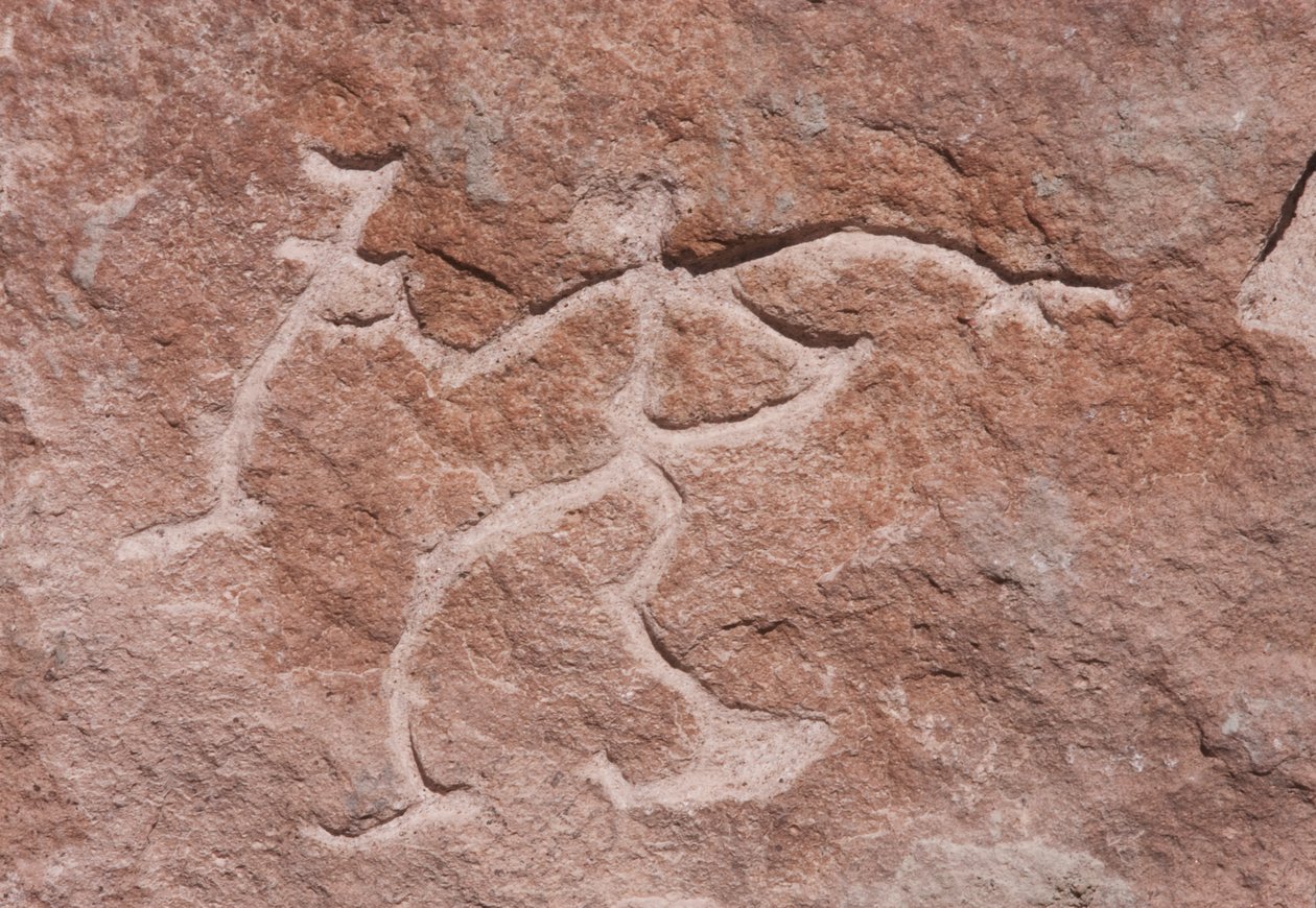 Pona Petroglyfit kallioilla Loa-joen varrella tekijältä Unknown