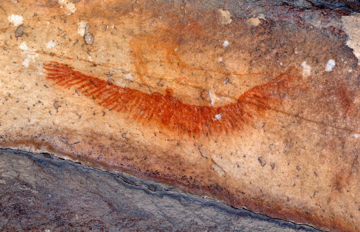 San (bushmen) kalliomaalauksia, Cedarburg, Western Cape tekijältä Unknown