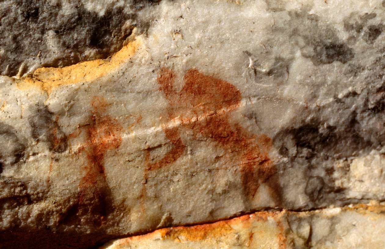 San (bushmen) kalliomaalauksia, Cedarburg, Western Cape tekijältä Unknown