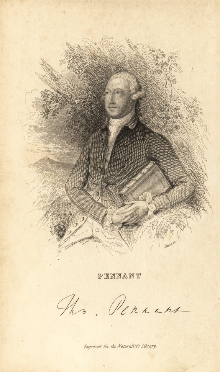 Thomas Pennant, walesilainen luonnontieteilijä, kirjailija ja antiikkitutkija, 1726-1798 tekijältä Unknown