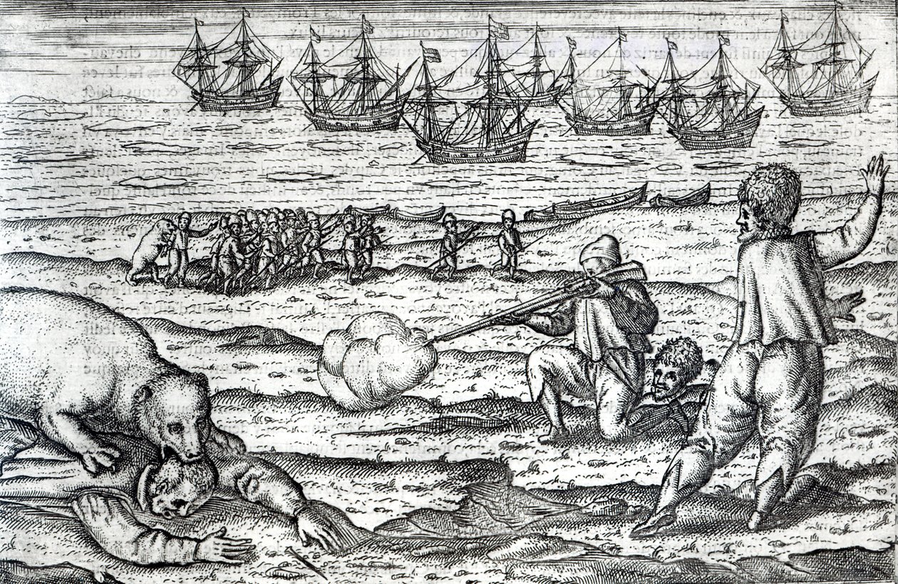 Merimiesten kimppuun jääkarhut, kuvitus teoksesta "Diarium Nauticum, seu vera descriptio trium navigationum admirandarum...", kirjoittanut Gerrit de Veer, 1598 (kaiverrus) tekijältä Dutch School