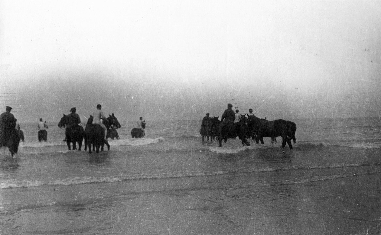 Sotilaat vievät hevositaan uimaan Normandian rannikolla elokuussa 1916 tekijältä English Photographer