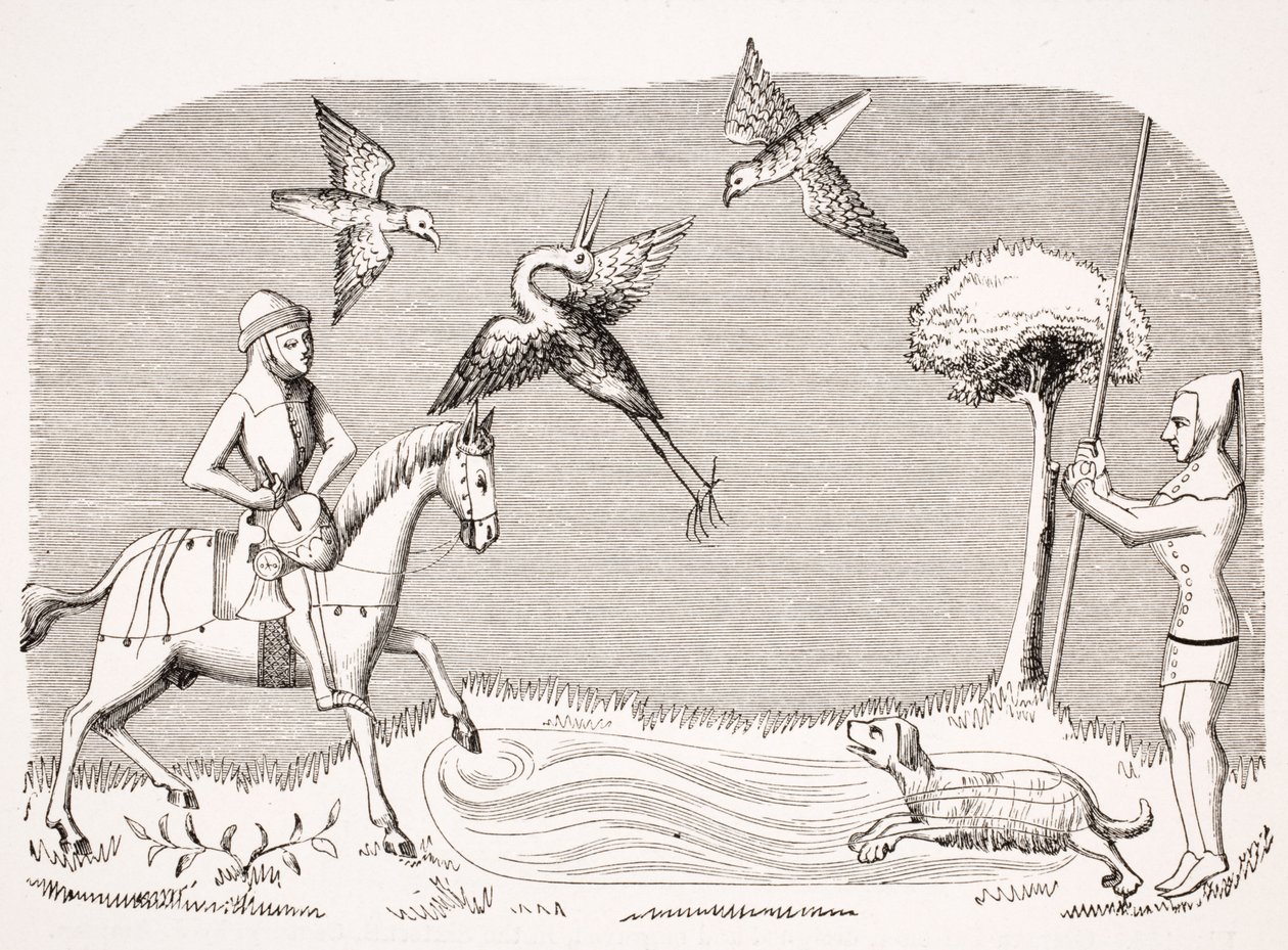 Heron Hawking, jäljennös 1300-luvun käsikirjoituksesta "Livre de Roy du Modus", Henri de Ferrieres, Paul Lacroix