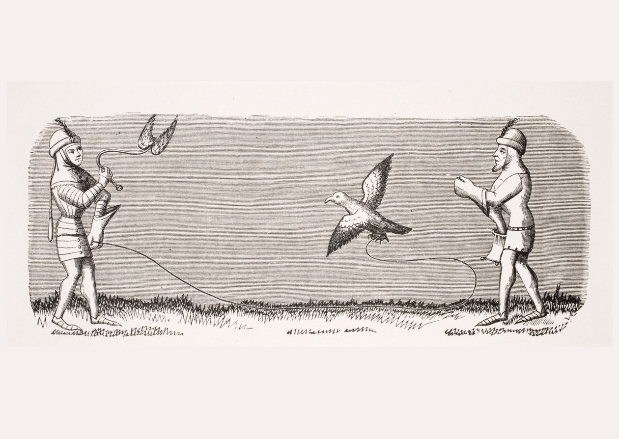 Kuinka kouluttaa uusi haukka, jäljennös 1300-luvun Henri de Ferrieresin käsikirjoituksesta Livre de Roy du Modus, Paul Lacroixin (1806-84) pubista Le Moyen Age et La Renaissance tekijältä French School