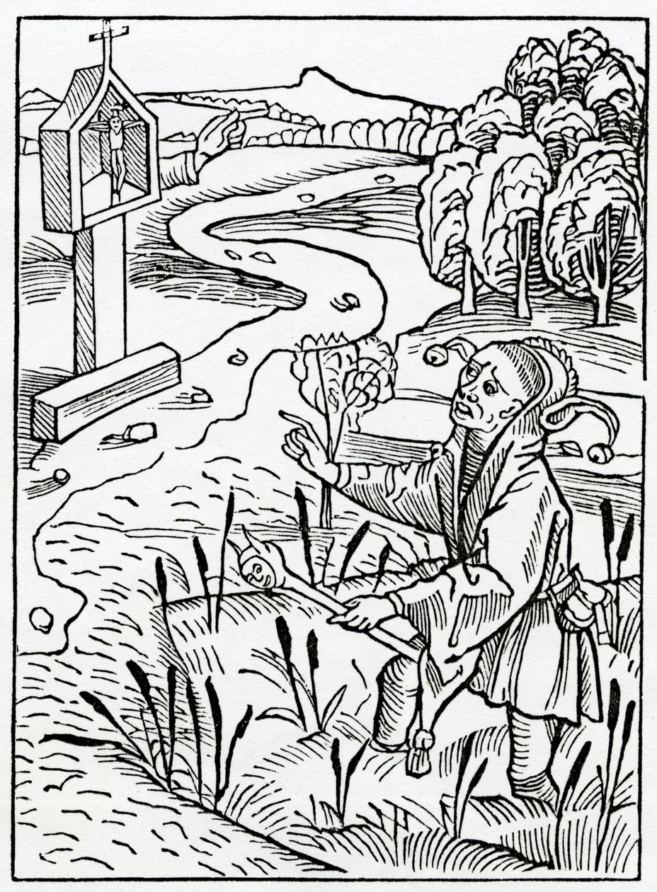 Heistä, jotka oikaisevat muita, mutta silti he itse eivät tee mitään ja syntiä huonommin kuin ne, joita he niin oikaisevat, esimerkki Alexander Barclayn englanninkielisestä "The Ship of Fools" -käännöksestä. tekijältä German School