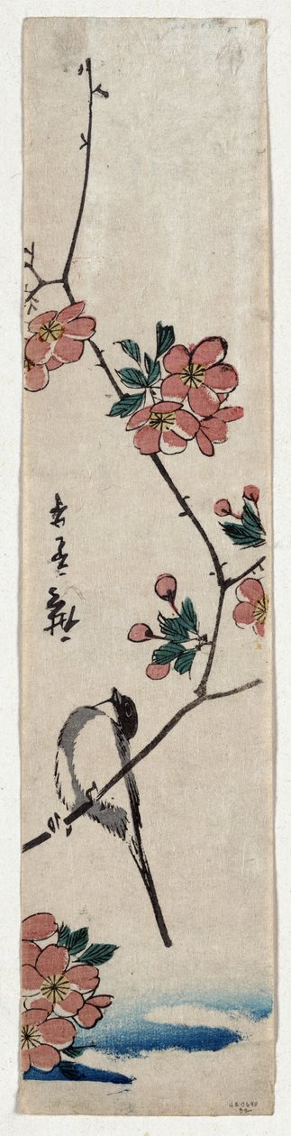 Kaido ni Shokin (pieni lintu Kaidozakuran oksalla) tekijältä Utagawa Hiroshige