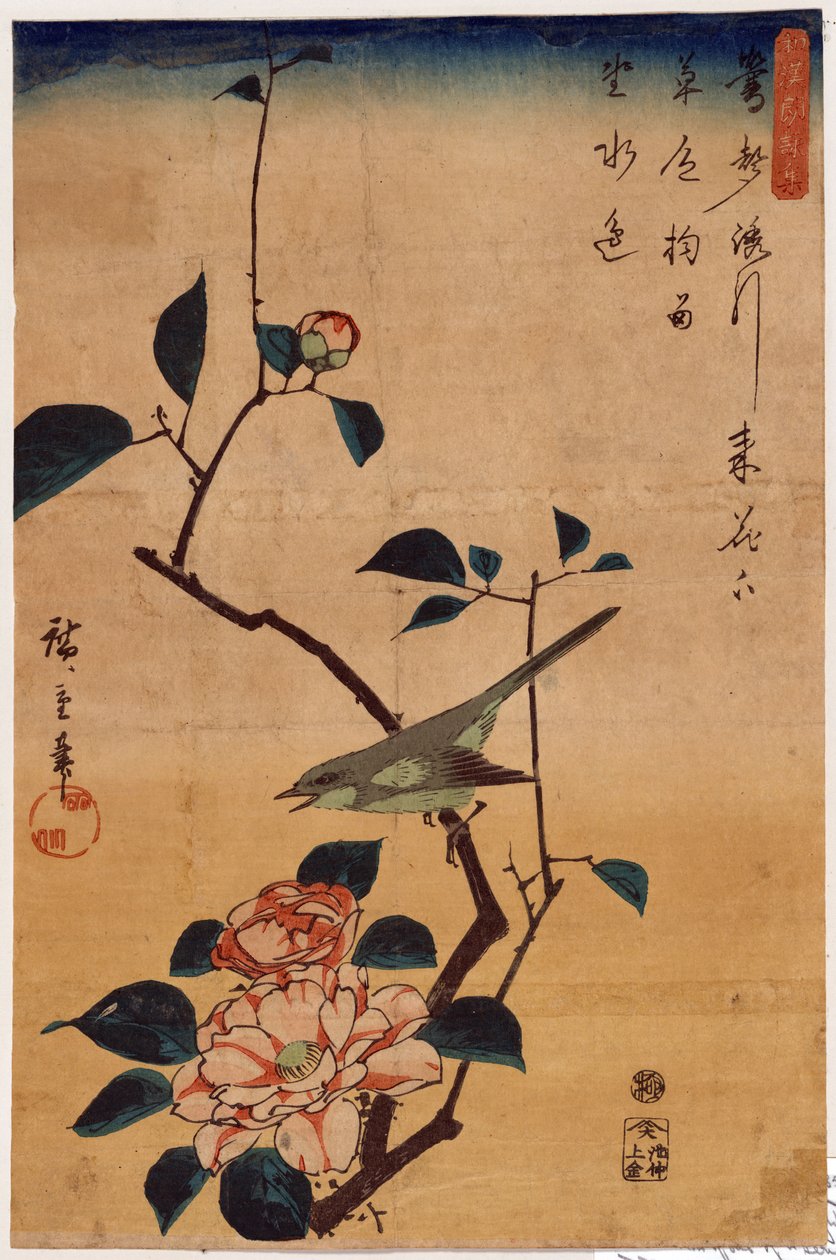Tsubaki ni Uguisu (kamelia ja pensastasku) tekijältä Utagawa Hiroshige