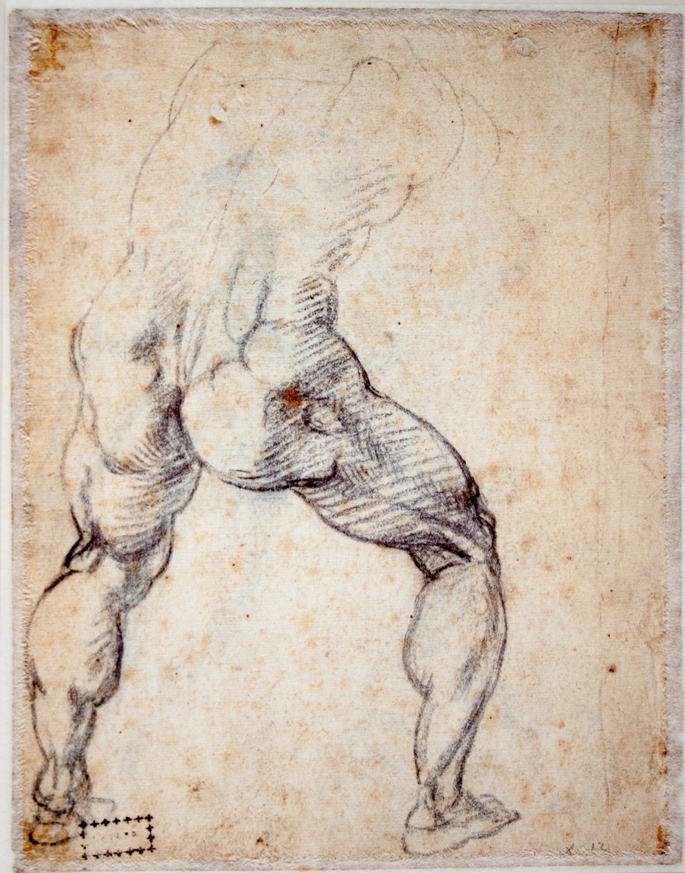 Férfiakt hátulról tekijältä Michelangelo Buonarroti