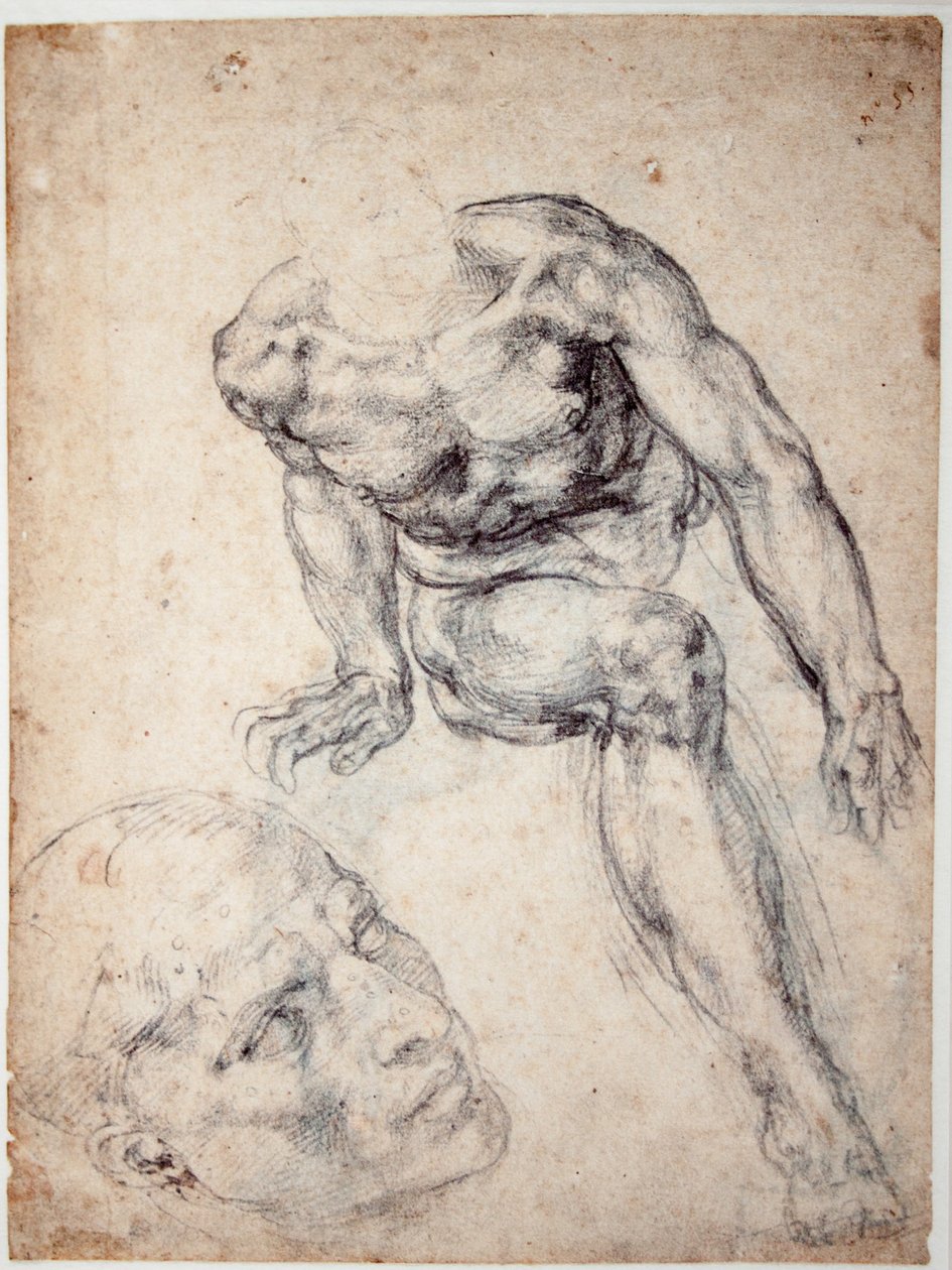 Tutkimus miespuolisesta alastosta, erillinen tutkimus hänen päänsä tekijältä Michelangelo Buonarroti