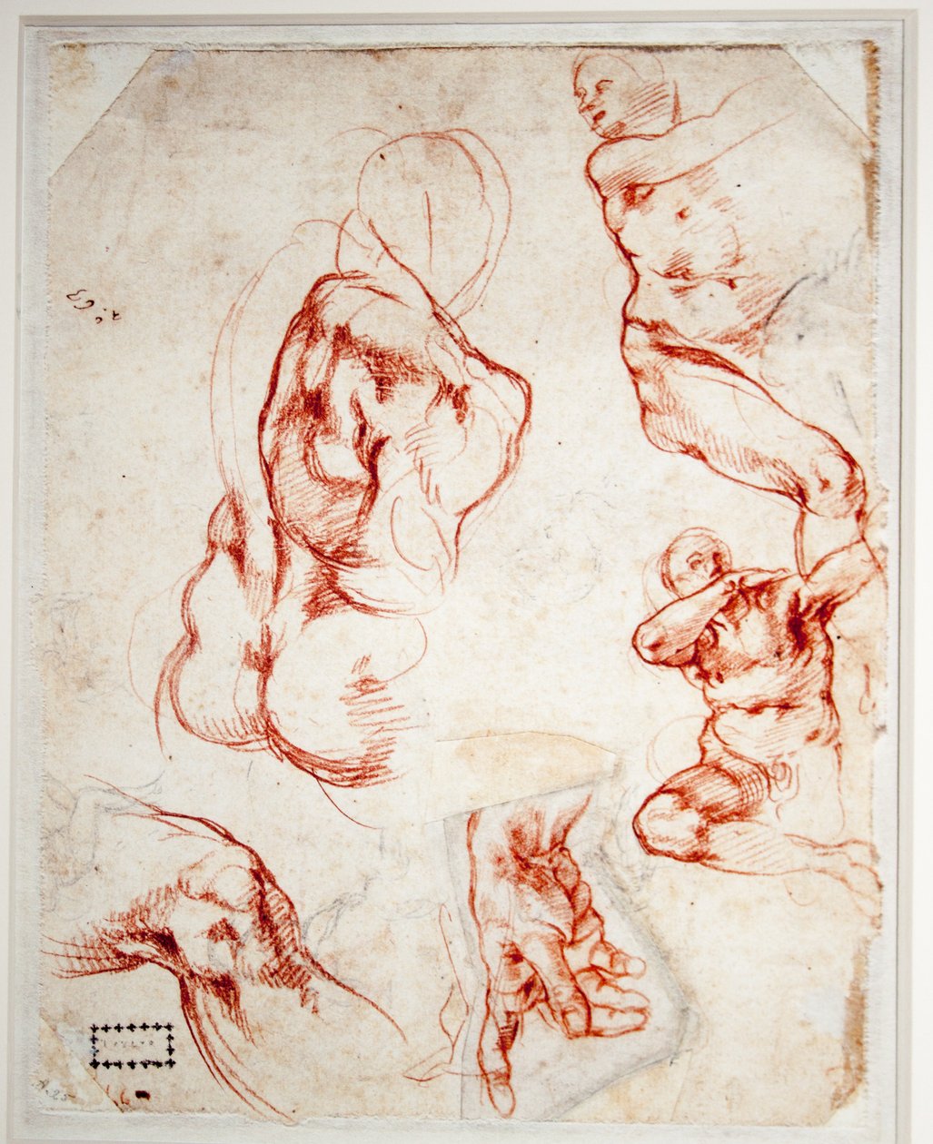 Tanulmány Jumalan kezéhez (Ádám Creatése) tekijältä Michelangelo Buonarroti