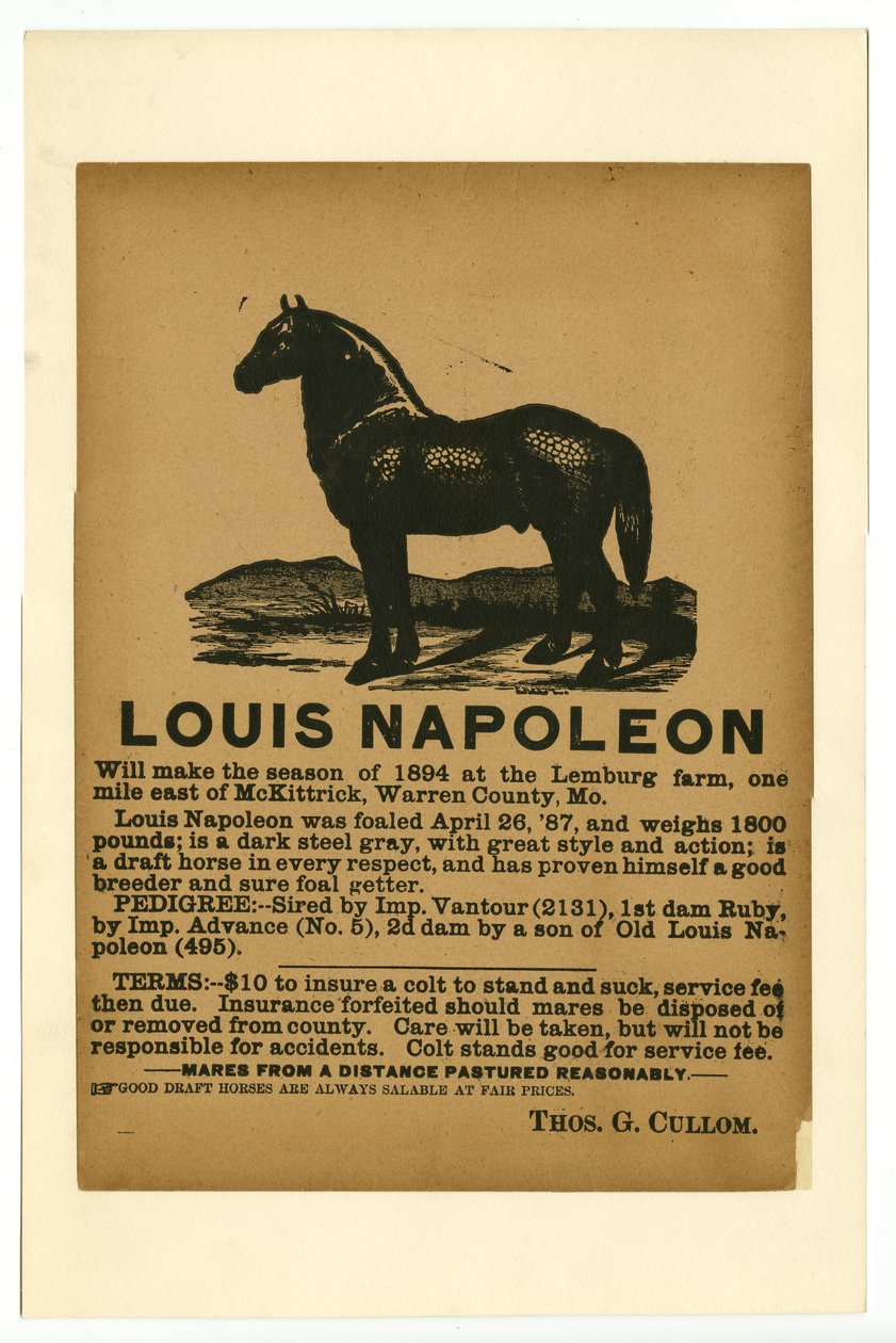 Laaja mainosluonnos Louis Napoleon palvelua varten, 1894 tekijältä Unknown