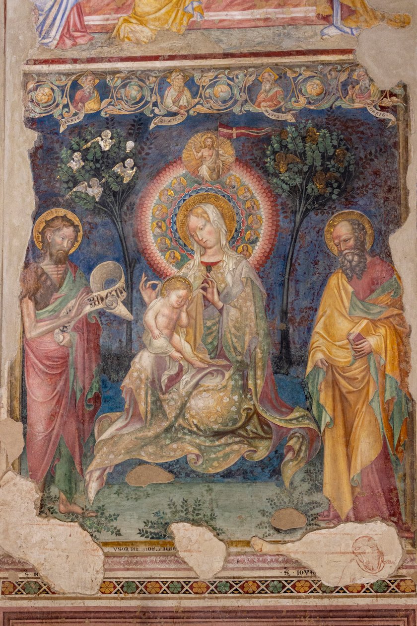 Urbino, San Giovannin oratorio tekijältä Lorenzo da  Sanseverino