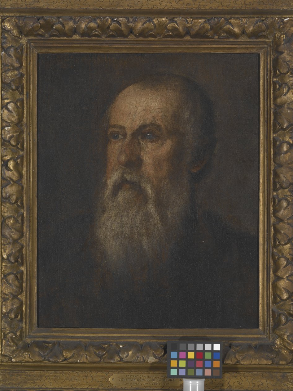 Parrakkaan miehen muotokuva (öljy kankaalle kiinnitetty tauluun) tekijältä (1528 88) Veronese