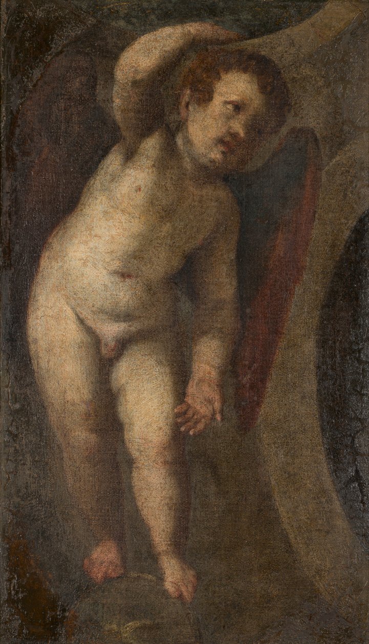 A Standing Putto, n. 1548-88 (öljy kankaalle) tekijältä Veronese