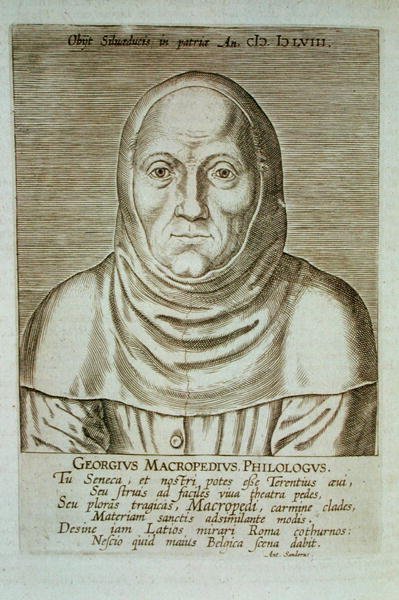 Georgius Macropedius Philologus (n. 1486-1588) (puukiviprintti) tekijältä (after) Dutch School