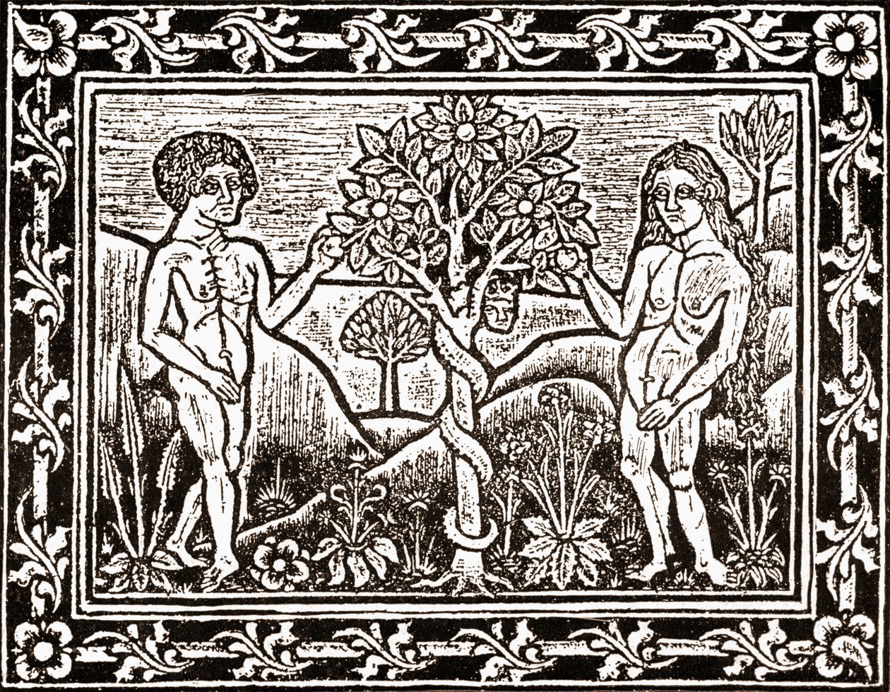 Puu, josta Adam söi omenan, faksimieli meditaatiokirjasta, ensimmäinen kirja, joka painettiin Albissa, Languedocissa, vuonna 1481 tekijältä (after) French School