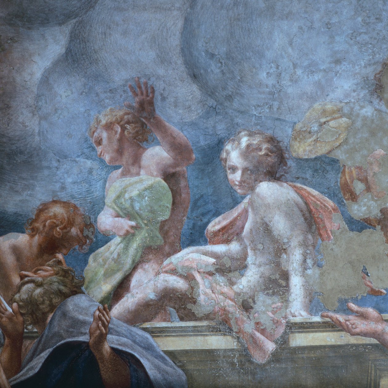 Nuori, Antonio Allegri Da Correggio (1489-1534), fresko, Parman katedraali, Italia tekijältä (c.1489 1534) Correggio