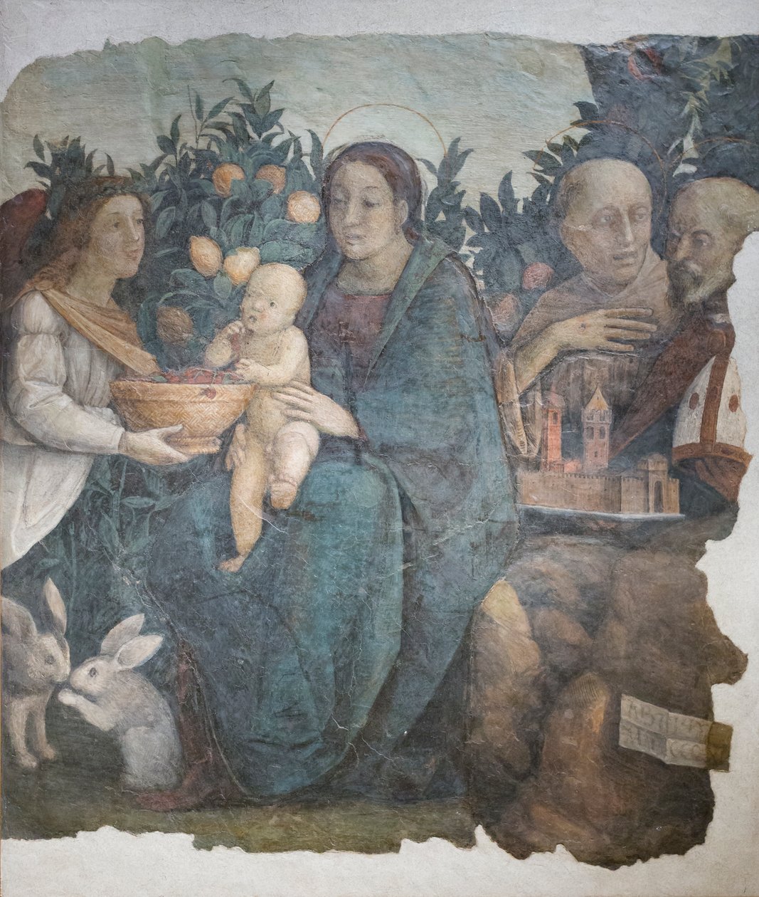 Madonna ja lapsi pyhien Franciscuksen ja Quirinuksen kanssa, tunnetaan nimellä Madonna dei limoni. tekijältä (c.1489 1534) Correggio