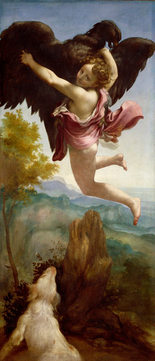Ganymeden sieppaus tekijältä (c.1489 1534) Correggio