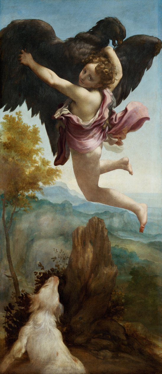 Ganymeden sieppaus tekijältä (c.1489 1534) Correggio