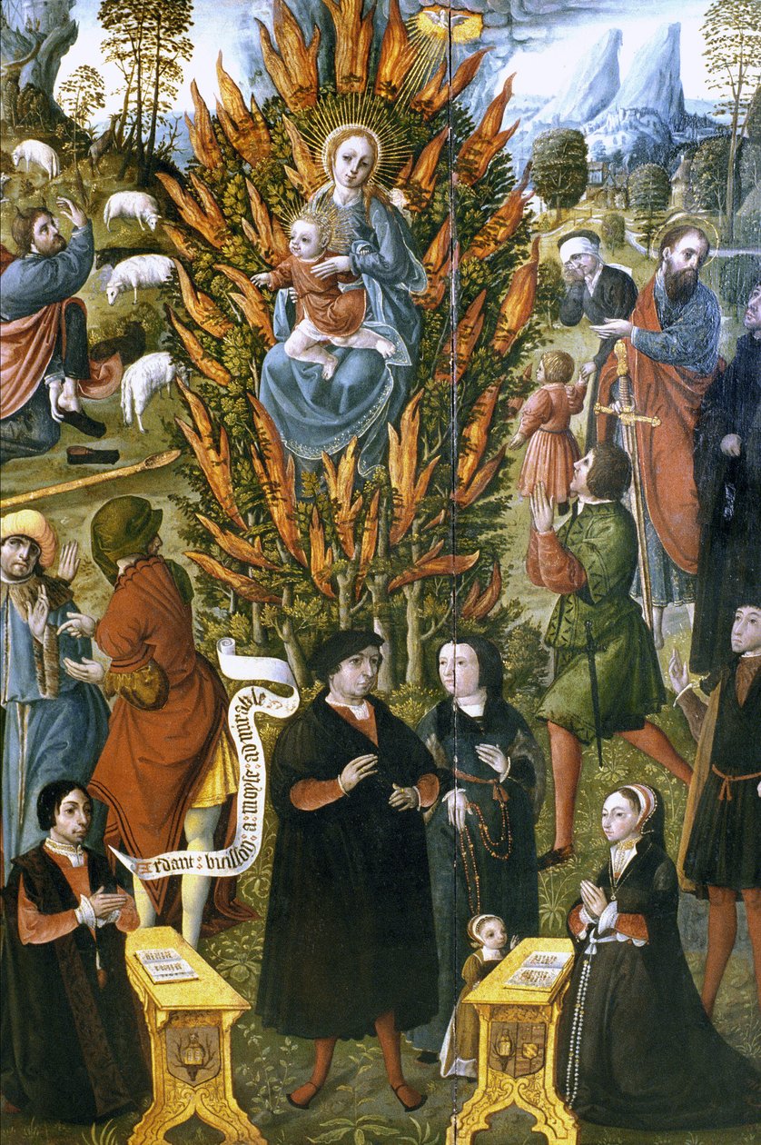 Ranska - Somme - departementti 80 - Abbeville - DR Musee Boucher de Perthes - Neitsyt palavalla pensaalla, Jean de Cermoisen tilaama vuosina 1526-1531. Öljy puulle tekijältä Unknown