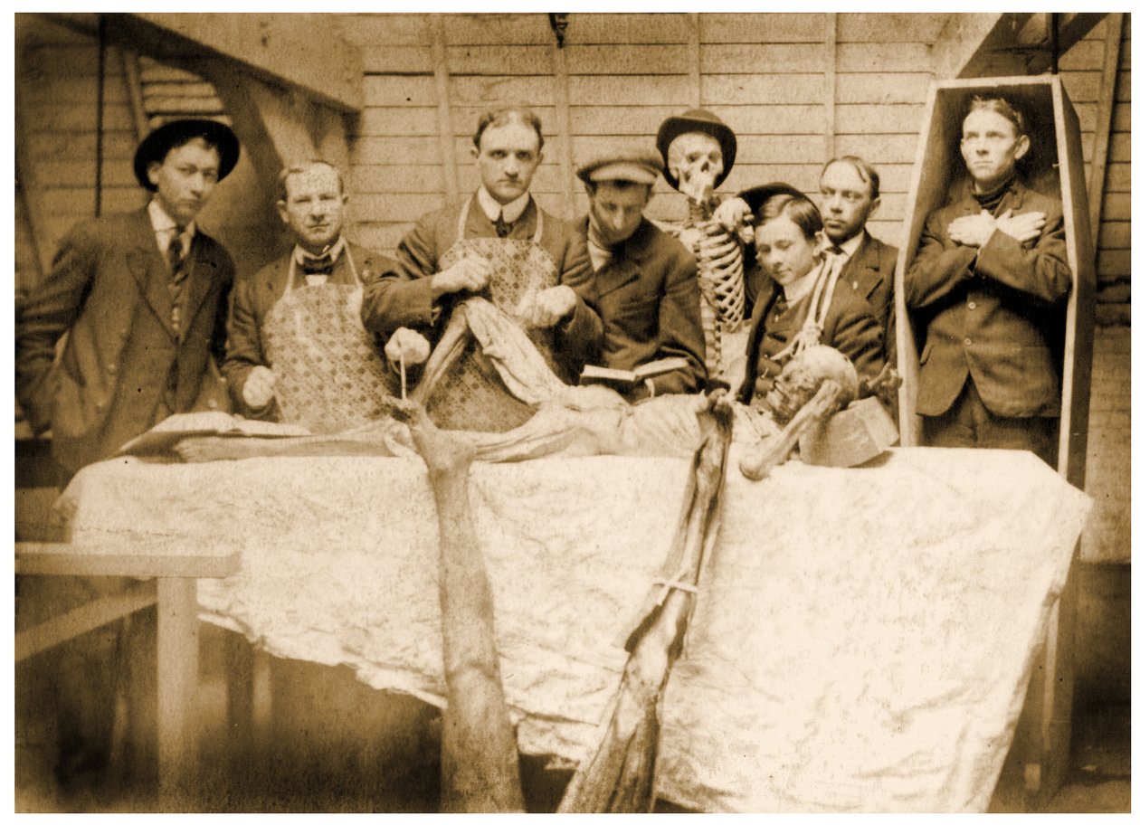 Viktoriaanisen lääketieteen opiskelijat ruumiineen, n. 1890 tekijältä Unknown