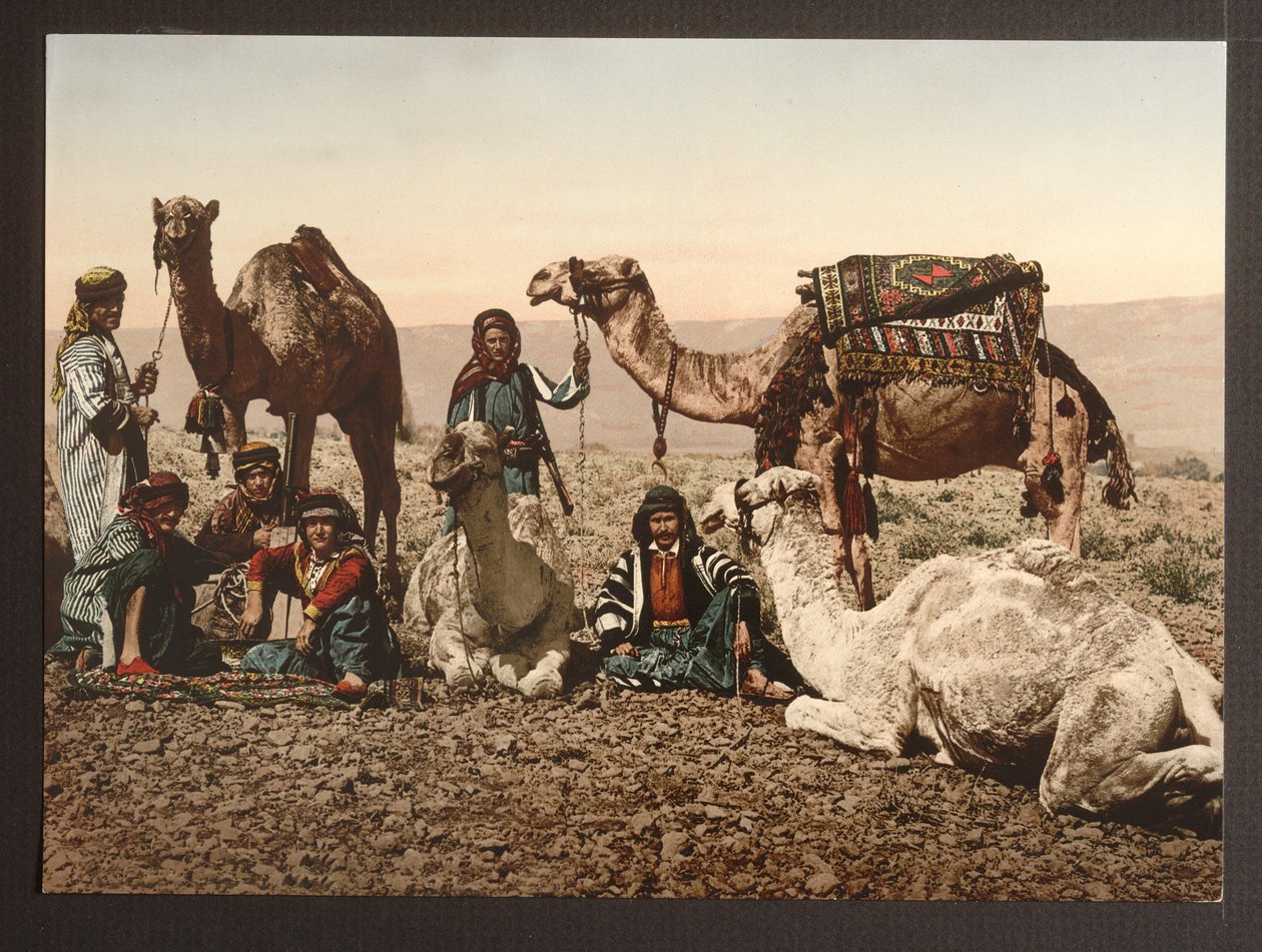Camel Train in Desert lepäämässä, pubi. 1895 tekijältä American Photographer