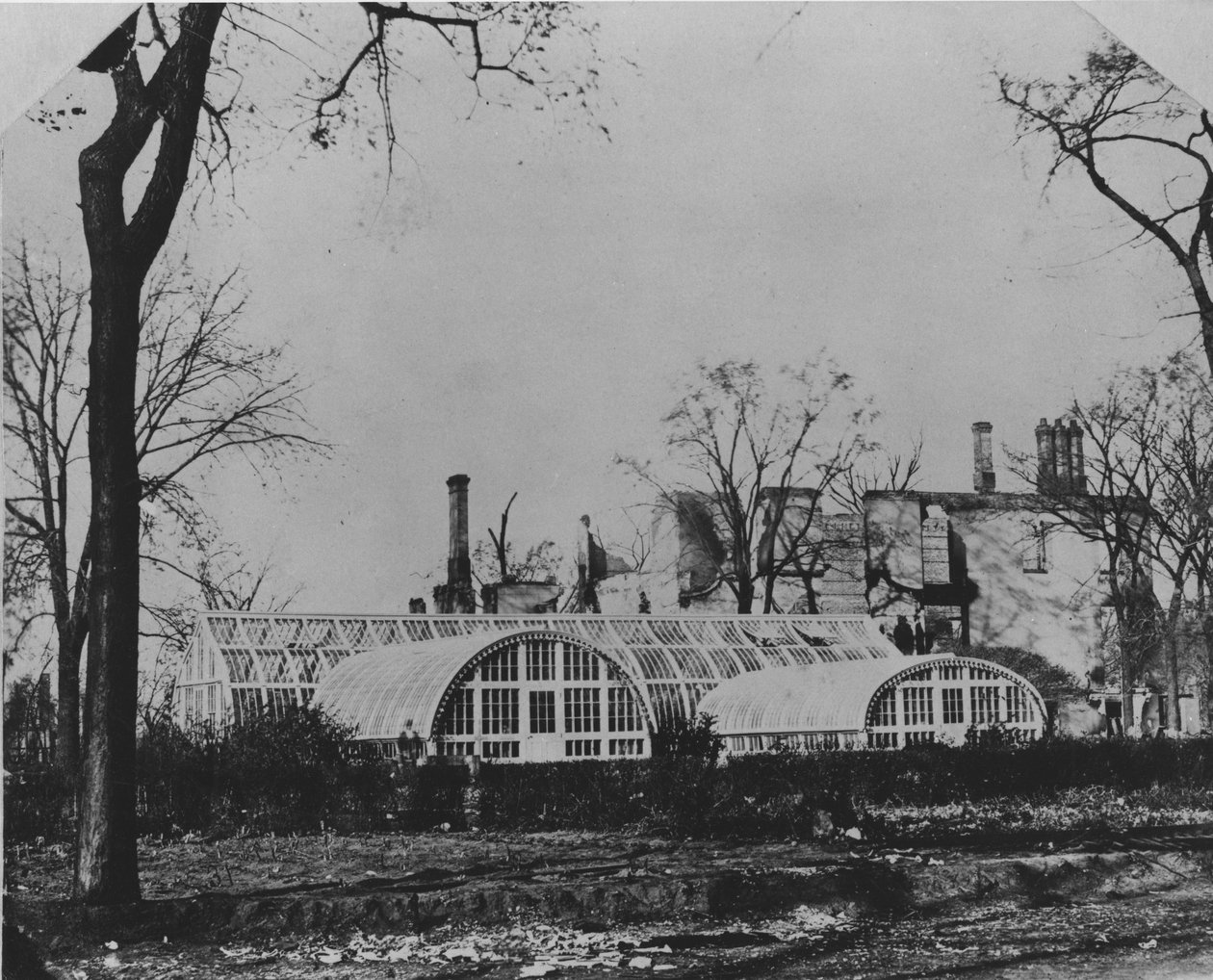 Ezra B. McCaggsin asuinpaikka ja viherhuone Chicagon palon jälkeen 1871, 1871 tekijältä American Photographer